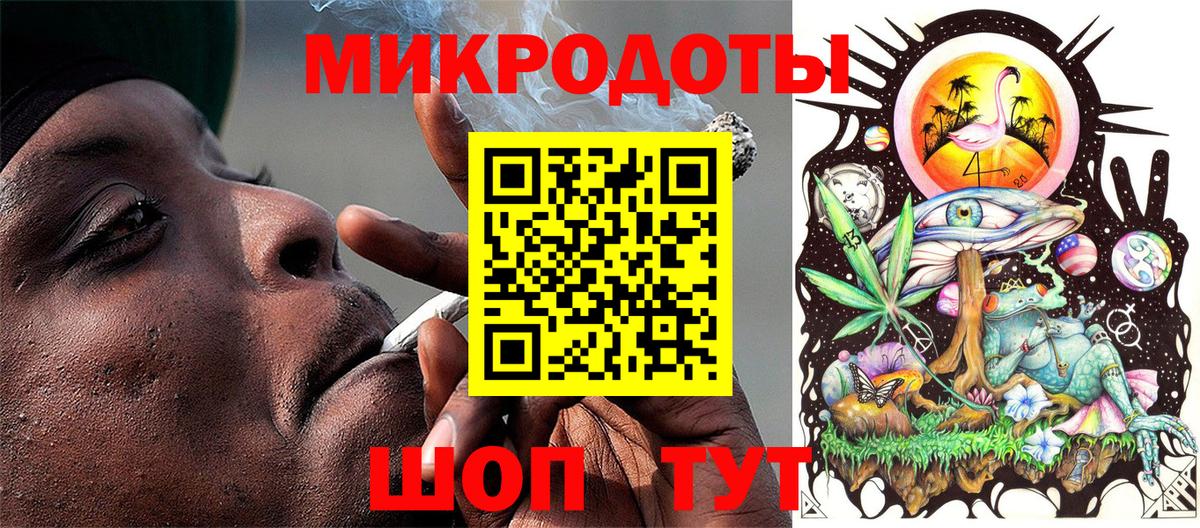 Галлюциногенные грибы Psilocybine cubensis Астрахань