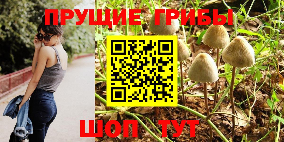 Галлюциногенные грибы мицелий  Вход с VPN  Галлюциногенные грибы мицелий  Астрахань 